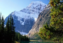 2024属龙清新脱俗气质的女孩名字(精选15个)